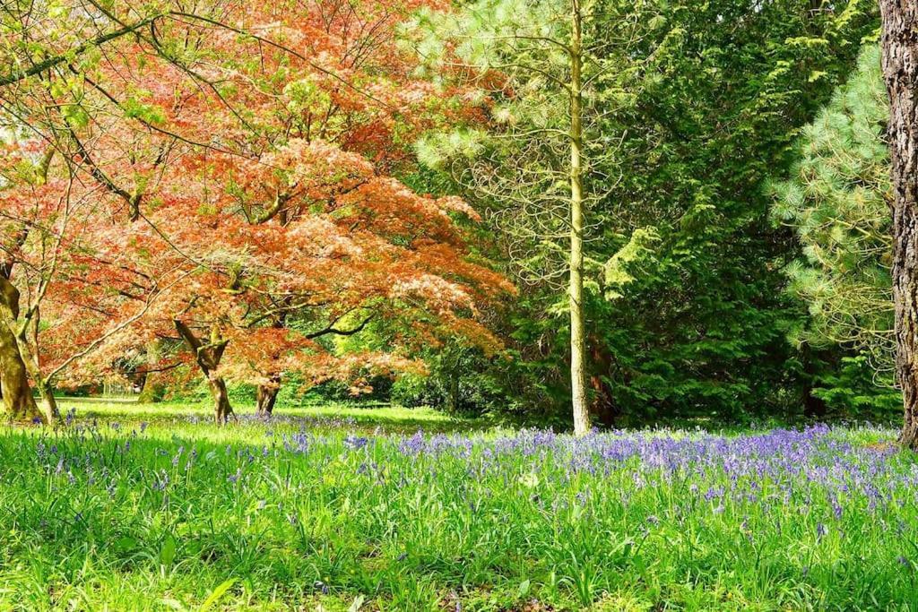 Petty France Cotswold Manor House - Country House Retreat With Hot Tub, Ideal For Large Groups מראה חיצוני תמונה
